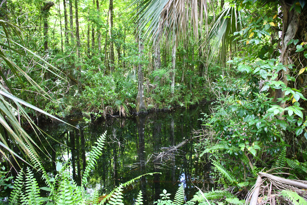 Scene of Encounter 2's Location