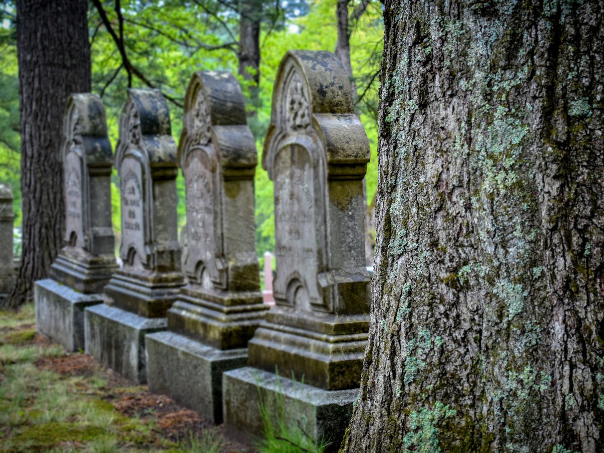 Giant headstones in the forest