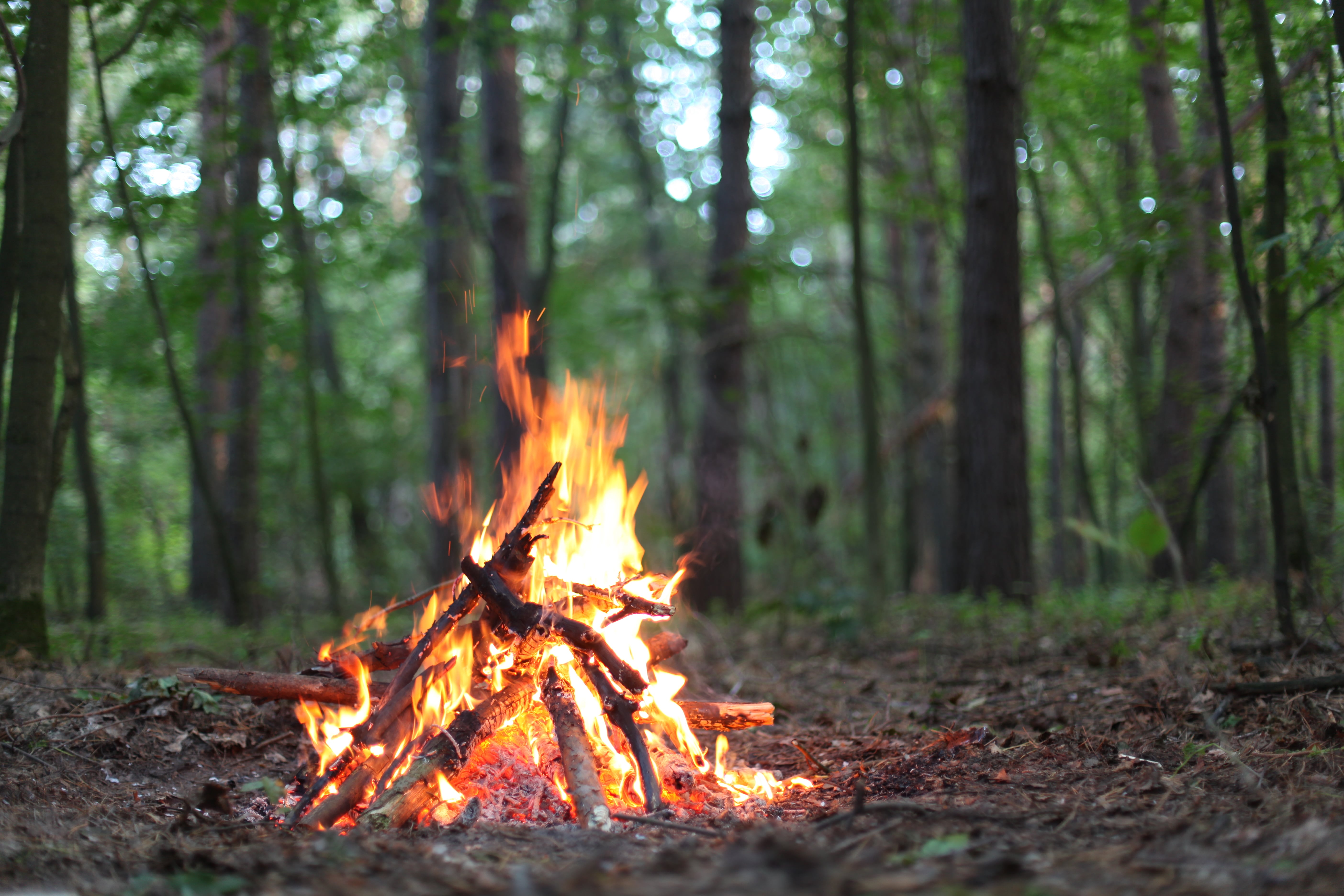 Campfire of Encounter 3